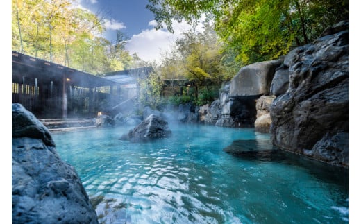 ネスタリゾート神戸　利用券