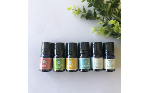 アロミーユオリジナル 天然100%精油6本＆木のキューブセット