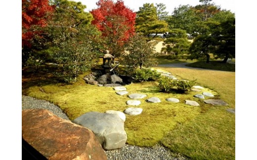 スナゴケで庭園緑化１㎡