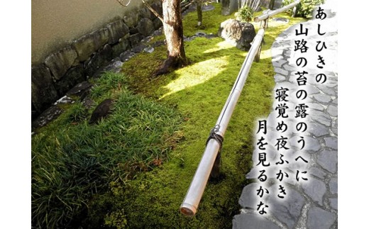 スナゴケで庭園緑化１㎡