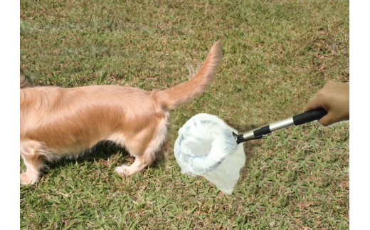 わんわんエチケット