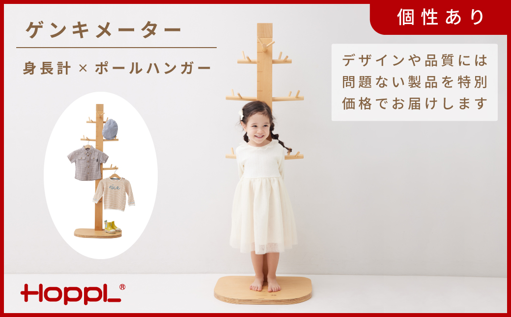 HOPPLãã¢ãŠãã¬ãããã²ã³ãã¡ãŒã¿ãŒNA KWNBV314