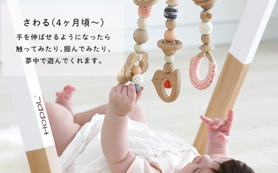 HOPPLãã¢ãŠãã¬ããããããŒãžã ã»ããïŒãžã ïŒãã¯ã€ã/ãã³ã®ã³ã°ãã€:ãã³ã¯ïŒ KWNBV317