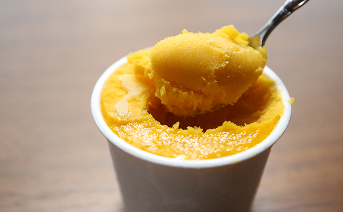 アイス 手作り アイスクリーム ＆ シャーベット 8個 セット アベニュー・ド・ラペ バニラアイス 抹茶アイス チョコレートアイス 食べ比べ スイーツ おやつ デザート バニラ 抹茶 抹茶アイスクリーム チョコレート 冷凍 冷凍配送 兵庫 兵庫県 小野市