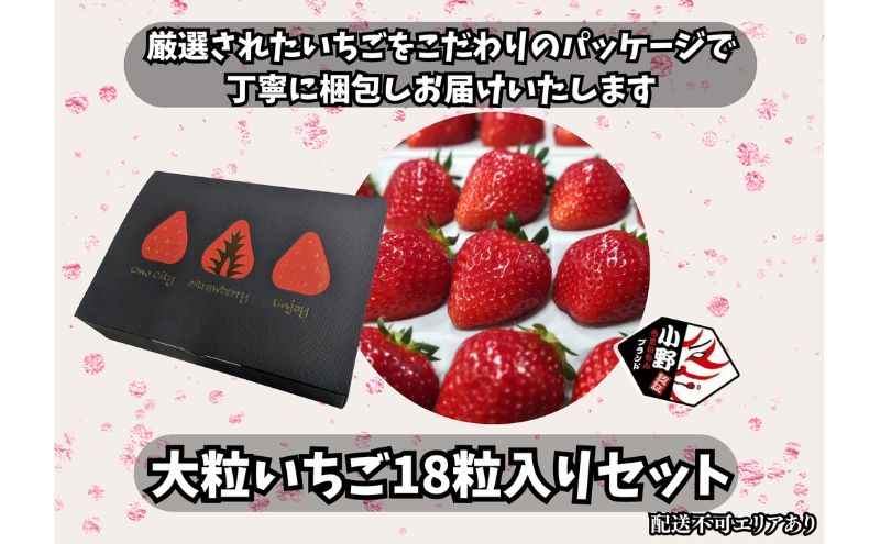 いちご 18粒入りセット [ イチゴ 苺 フルーツ 果物 新鮮 糖度 ] 果物類 大粒 