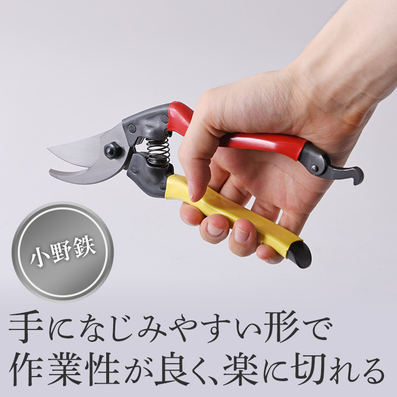 å°éé åªå®é ãã 210mm èµ€é»æ å³æçš é貚 æ¥çšå æ°èžå å·¥èžå äŒçµ±æè¡ é«çŽççŽ éŒ