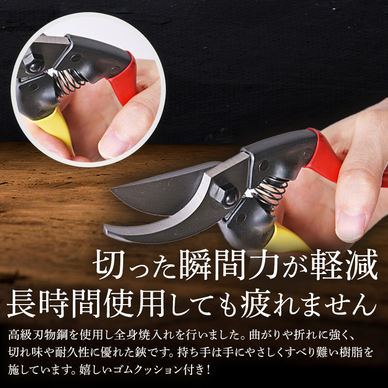 å°éé åªå®é ãã 210mm èµ€é»æ å³æçš é貚 æ¥çšå æ°èžå å·¥èžå äŒçµ±æè¡ é«çŽççŽ éŒ