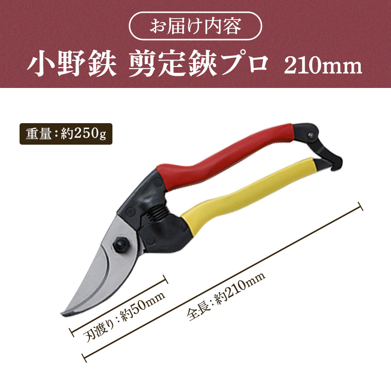 å°éé åªå®é ãã 210mm èµ€é»æ å³æçš é貚 æ¥çšå æ°èžå å·¥èžå äŒçµ±æè¡ é«çŽççŽ éŒ