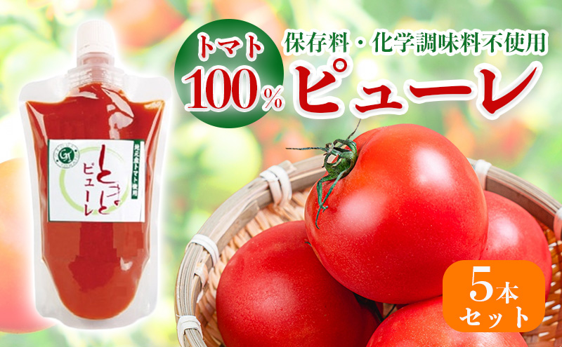 トマト100%のピューレ5本セット（保存料・化学調味料不使用） 加工食品 野菜 保存料不使用