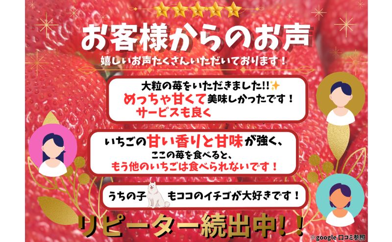 いちご 18粒入りセット [ イチゴ 苺 フルーツ 果物 新鮮 糖度 ] 果物類 大粒 