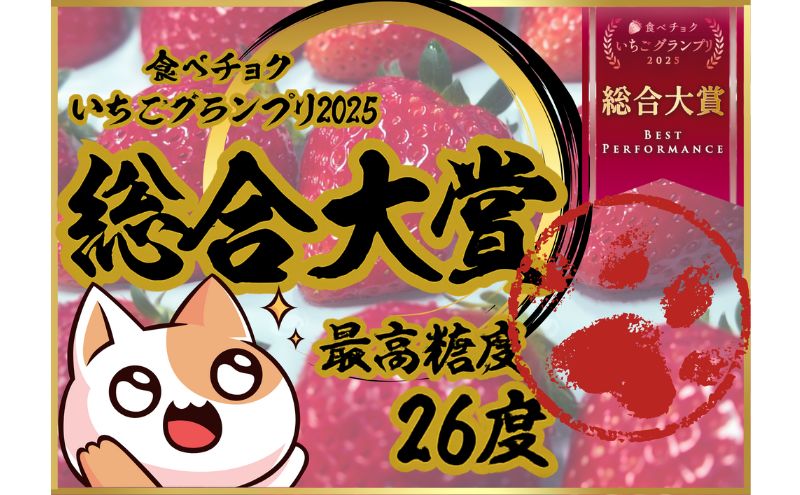 【予約受付】大粒いちご 15粒入りセット 2026年1月以降順次発送予定[ いちご イチゴ 苺 フルーツ 果物 新鮮 糖度 ] 果物類