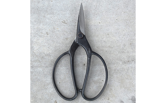 驪乗帆螳 75mm 讀肴惠驪 髱堤エ 繝阪ず蠑 蝨定敢逕ィ蜩 髮題イィ 蝨定敢逕ィ繝上し繝 騾蝨 蝨定敢 閾ェ遉セ 骰幃 辟シ縺榊・繧 蛻繧悟袖 閠蝉ケ諤ァ 讀肴惠逕ィ