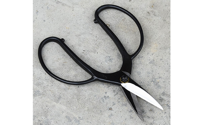 驪乗帆螳 75mm 讀肴惠驪 髱堤エ 繝阪ず蠑 蝨定敢逕ィ蜩 髮題イィ 蝨定敢逕ィ繝上し繝 騾蝨 蝨定敢 閾ェ遉セ 骰幃 辟シ縺榊・繧 蛻繧悟袖 閠蝉ケ諤ァ 讀肴惠逕ィ