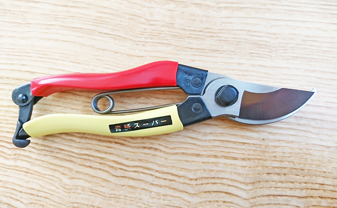 éçŽã¹ãŒããŒåªå®é180mm é貚 æ¥çšå