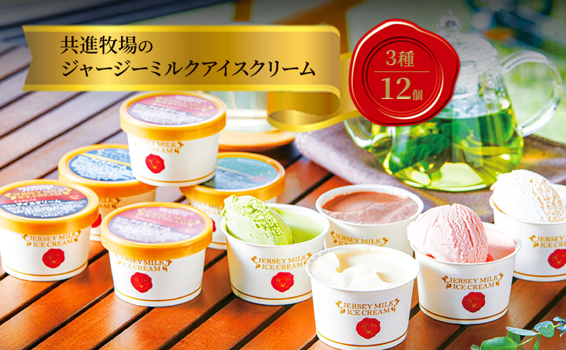 共進牧場 ジャージーミルクアイスクリーム 3種12個 スイーツ アイス 濃厚 兵庫県 小野市 お菓子 デザート 希少 風味 コク 鮮度 牛乳 搾りたて 美味しい