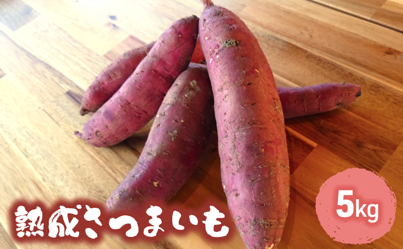 訳あり 熟成 さつまいも 5kgセット[ 不揃い 野菜 ] 食材 国産 国産野菜 紅はるか ふくむらさき 紅あずま 熟成さつまいも