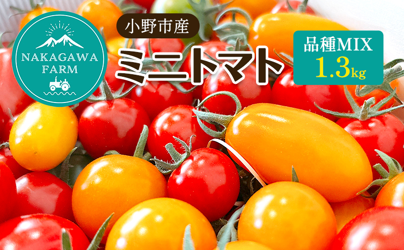 ミニトマト 品種 MIX 1.3kg[ トマト 有機質肥料 ] 野菜 食材 国産 国産野菜 緑黄色野菜 サラダ 付け合わせ