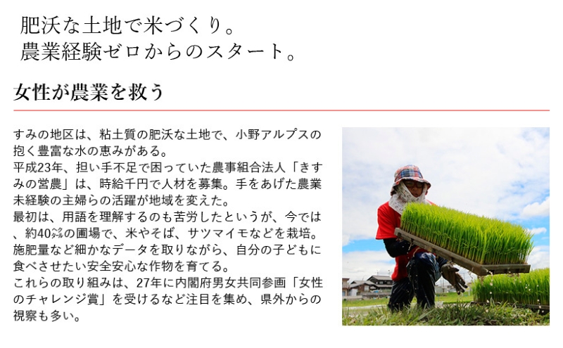 餅 きすみのこもち 12袋セット[ もち お餅 もち米 個包装 無添加 お正月 ] コシ のび 食べやすい 小ぶり 半年以上 保存 可能 安心 安全 