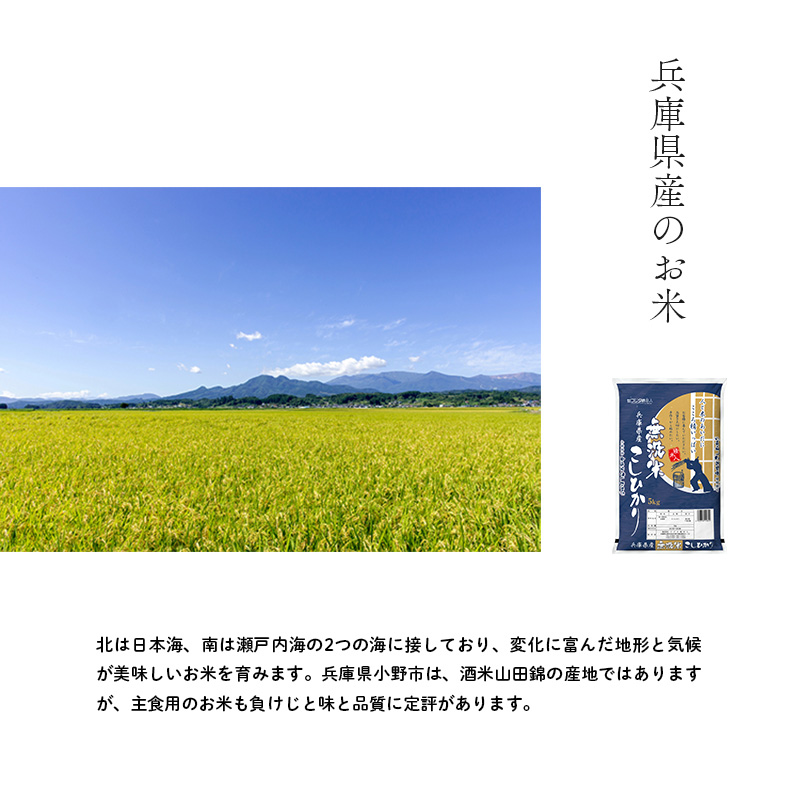 無洗米 コシヒカリ 10kg ( 5kg ×2袋) 小分け 米 お米 精米 白米 銘柄米 ブランド米 10キロ 産地直送 兵庫県産 兵庫 兵庫県 小野市