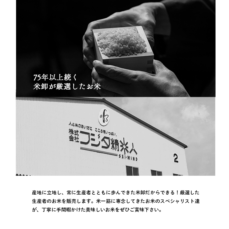 無洗米 コシヒカリ 10kg ( 5kg ×2袋) 小分け 米 お米 精米 白米 銘柄米 ブランド米 10キロ 産地直送 兵庫県産 兵庫 兵庫県 小野市