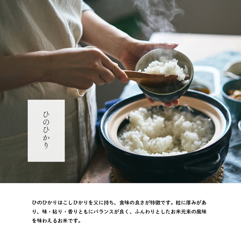 兵庫県産 ヒノヒカリ 無洗米 5kg [ お米 米 おいしい ひのひかり 兵庫県 小野市 ] 精米 白米 ご飯 手間いらず 厚み 味 粘り 香り バランス ふんわり 