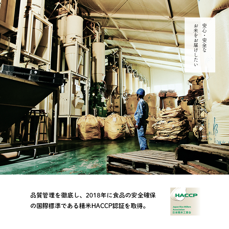 兵庫県産 ヒノヒカリ 無洗米 10kg ( 5kg × 2袋 )  [ お米 米 おいしい ひのひかり 兵庫県 小野市 ] 精米 白米 ご飯 手間いらず 厚み 味 粘り 香り バランス ふんわり 