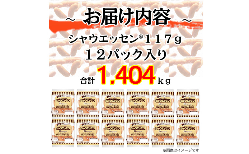 定期便 シャウエッセン 1袋(標準5本入)×12パック 計1.404kg【6か月お届け】 日本ハム