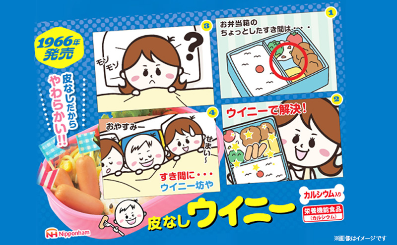 定期便 皮なしウイニー 1袋(標準10本入)×12袋 計120本(標準)【6か月お届け】 日本ハム 工場直送 ウイニー ウインナー ソーセージ 朝食 お弁当 カルシウム入 栄養機能食品 小分け 使い切り ふるさと納税