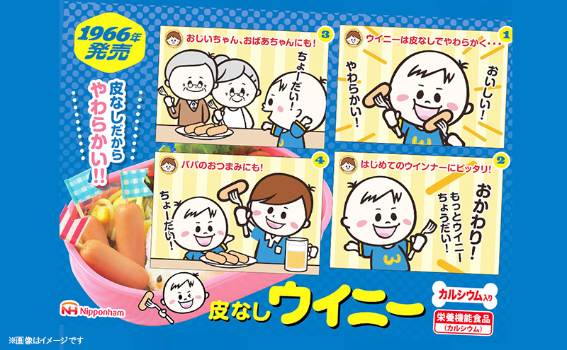 定期便 皮なしウイニー 72g×2(標準20本)×10個 計200本(標準)【3か月お届け】 日本ハム 工場直送 ウイニー ウインナー ソーセージ 朝食 お弁当 カルシウム入 栄養機能食品 小分け 使い切り ふるさと納税