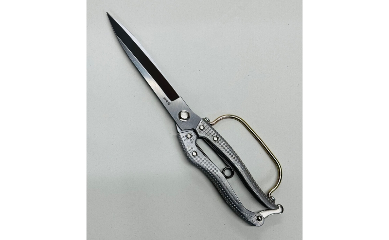 ãªããããé·ååªå®æ ¹åé 290ïœïœãçæå蟌éãæé«çŽæ¬è·çšãã¬ãŒãä»ããã¢ã«ãæ ã¬ãŒããã³ã°ã蟲æ¥ãé€è