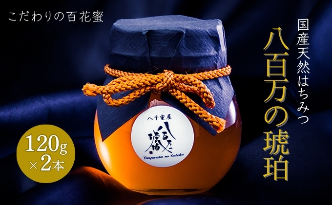 蜂蜜 八百万の琥珀(国産天然はちみつ)120g×2本(計240g)[ はちみつ ハチミツ 国産 百花蜜 ] 加工食品