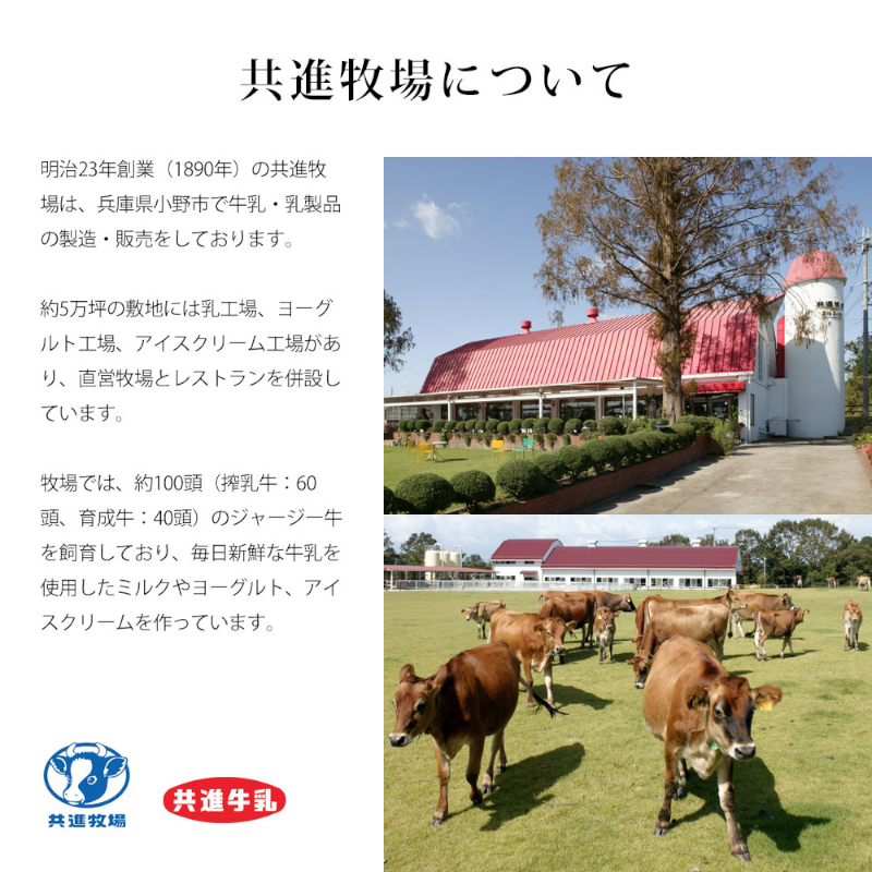 共進牧場 ジャージーミルクアイスクリーム 4種7個 スイーツ アイス 濃厚 兵庫県 小野市 お菓子 デザート 希少 風味 コク 鮮度 牛乳 搾りたて 美味しい 