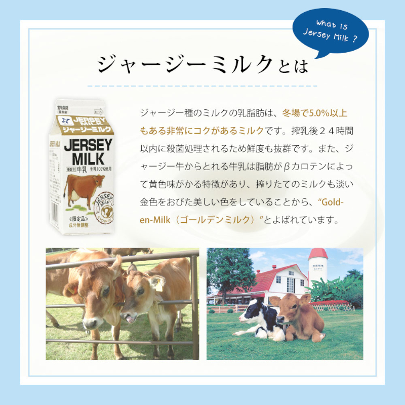 共進牧場 ジャージーミルクアイスクリーム 4種7個 スイーツ アイス 濃厚 兵庫県 小野市 お菓子 デザート 希少 風味 コク 鮮度 牛乳 搾りたて 美味しい 
