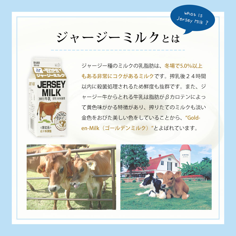 共進牧場 ジャージーミルクアイスクリーム 3種30個[ スイーツ アイス 濃厚 ] お菓子 デザート 希少 風味 コク 鮮度 牛乳 搾りたて 美味しい 