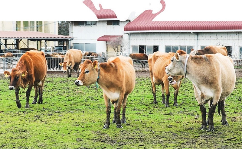 牛乳販売店のジェラート こだわりミルク3種6個入り　ジェラート アイス アイスクリーム カップ カップアイス デザート おやつ 詰め合わせ お取り寄せ ギフト 小野市 兵庫県