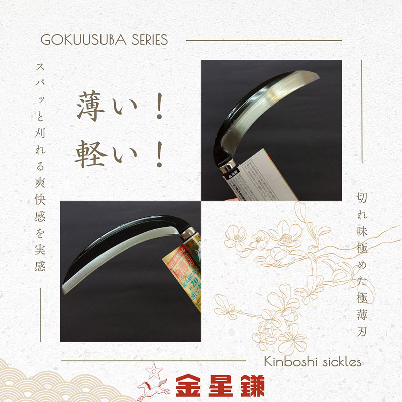 驥第弌骼 闕牙磯詞(讌オ阮蛻)180繝溘Μ縲160041縲阪闕牙 髯、闕 蝨定敢 繧ャ繝シ繝繝九Φ繧ー