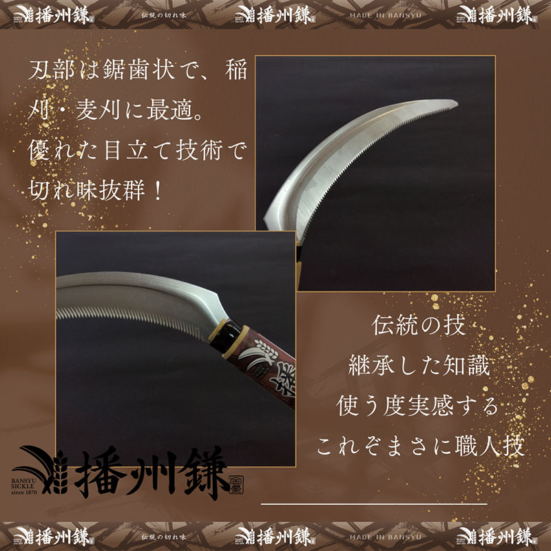 ガーデニング 播州鎌 ステンレス A型 鋸鎌 「180042」 刃物 鎌 草刈り鎌 草刈り 雑草 取り 除草 剪定 刃 ツール 道具 庭 家庭菜園 園芸 園芸用品 ガーデニング用品 兵庫 兵庫県 小野市