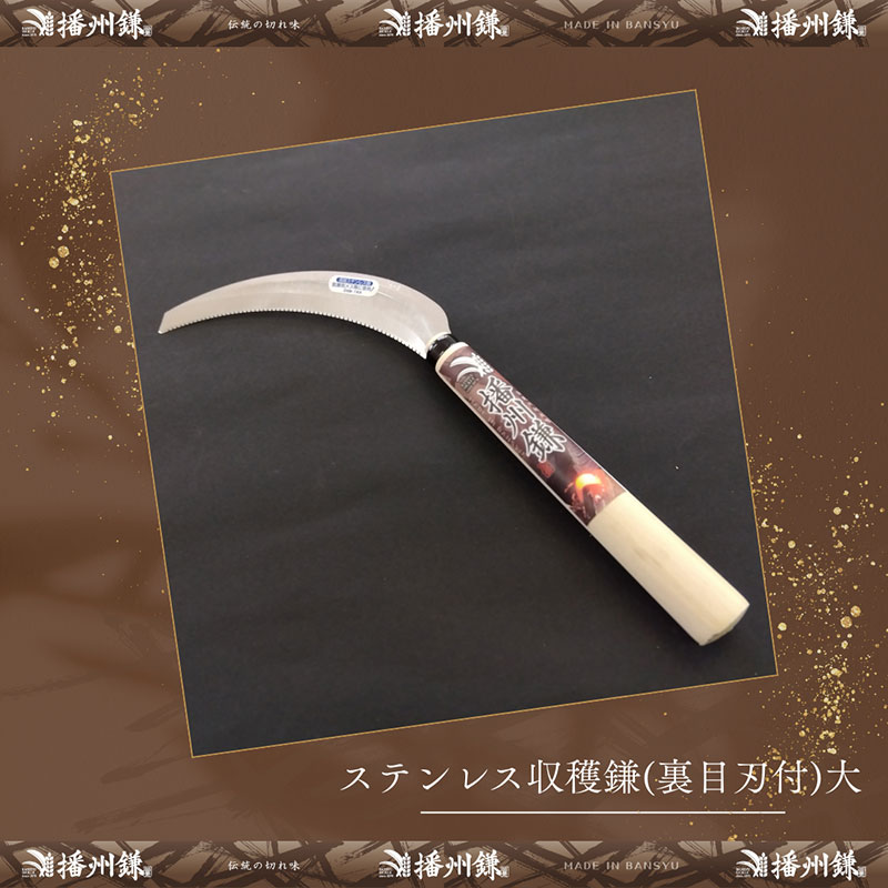 ガーデニング 播州鎌 ステンレス 収穫鎌 裏目刃付 大 「180044」 野菜収穫 刃物 鎌 野菜切り鎌 切り出し鎌 株切り鎌 菜切り鎌 草刈り鎌 草刈り 剪定 刃 ツール 道具 庭 家庭菜園 園芸 園芸用品 ガーデニング用品 兵庫 兵庫県 小野市