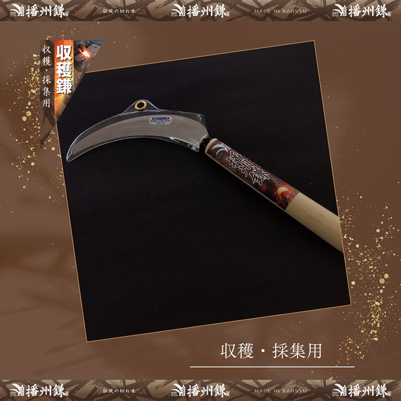 ガーデニング 播州鎌 ステンレス 収穫鎌 裏目刃付 大 「180044」 野菜収穫 刃物 鎌 野菜切り鎌 切り出し鎌 株切り鎌 菜切り鎌 草刈り鎌 草刈り 剪定 刃 ツール 道具 庭 家庭菜園 園芸 園芸用品 ガーデニング用品 兵庫 兵庫県 小野市