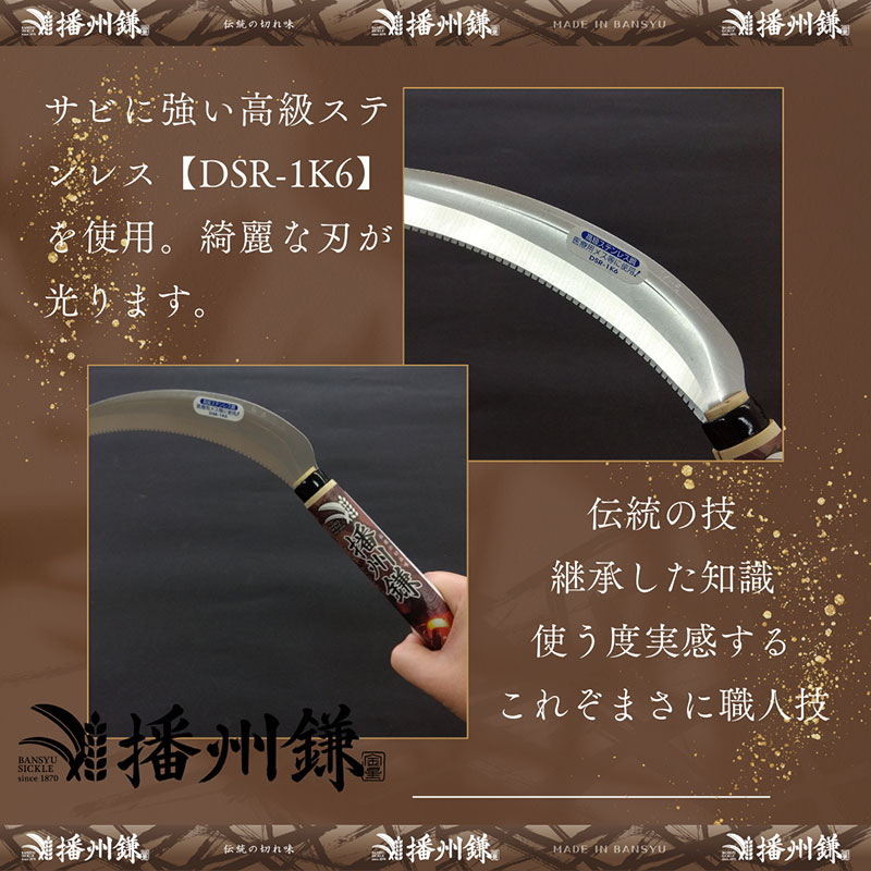 ガーデニング 播州鎌 ステンレス 収穫鎌 裏目刃付 大 「180044」 野菜収穫 刃物 鎌 野菜切り鎌 切り出し鎌 株切り鎌 菜切り鎌 草刈り鎌 草刈り 剪定 刃 ツール 道具 庭 家庭菜園 園芸 園芸用品 ガーデニング用品 兵庫 兵庫県 小野市