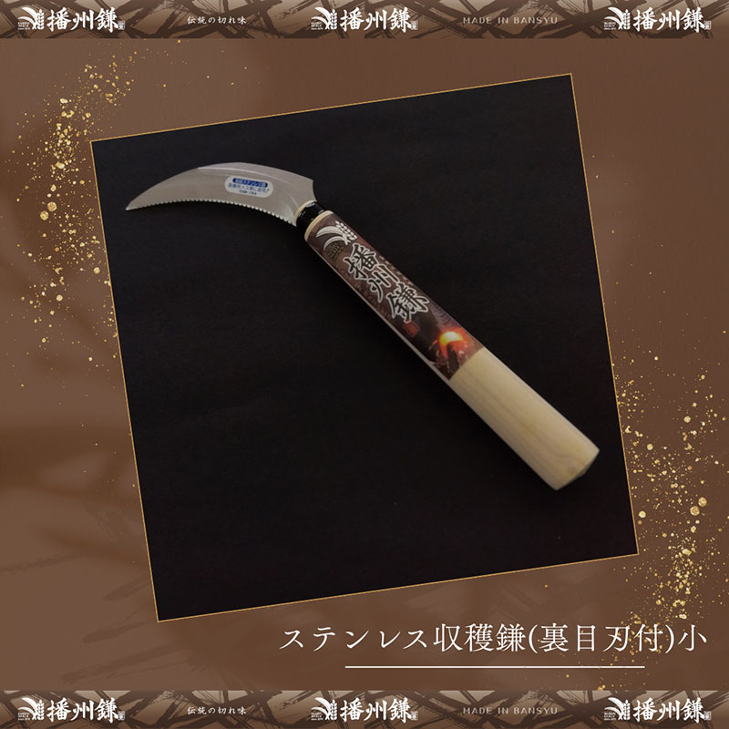 ガーデニング 播州鎌 ステンレス 収穫鎌 裏目刃付 小 「180045」 野菜収穫 刃物 鎌 小鎌 野菜切り鎌 切り出し鎌 株切り鎌 菜切り鎌 草刈り鎌 草刈り 剪定 刃 ツール 道具 庭 家庭菜園 園芸 園芸用品 ガーデニング用品 兵庫 兵庫県 小野市