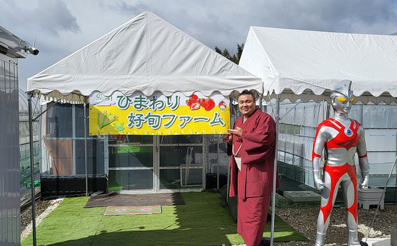 米 ヒノヒカリ 10kg 好旬米 奥播磨 お米 精米 白米 単一原料米 銘柄米 ブランド米 10キロ 産地直送 新米 令和7年 令和7年産 兵庫県産 兵庫 兵庫県 小野市