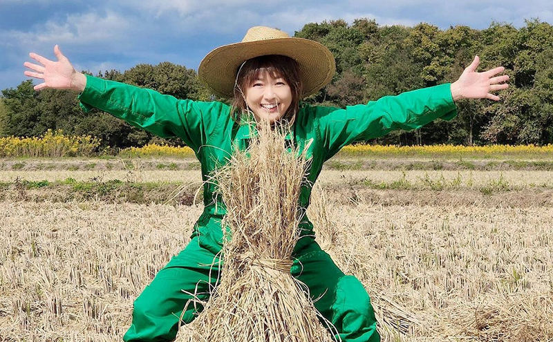 米 ヒノヒカリ 10kg 好旬米 奥播磨 お米 精米 白米 単一原料米 銘柄米 ブランド米 10キロ 産地直送 新米 令和7年 令和7年産 兵庫県産 兵庫 兵庫県 小野市