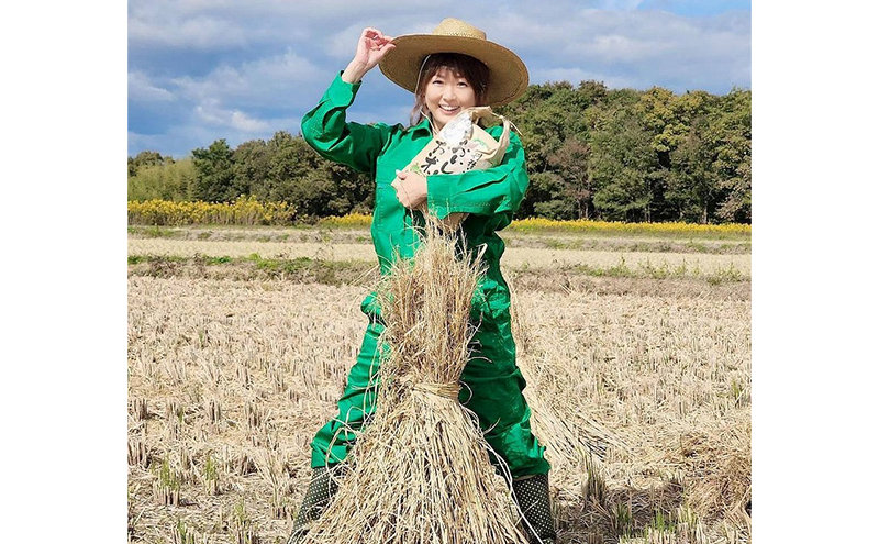 米 ヒノヒカリ 10kg 好旬米 奥播磨 お米 精米 白米 単一原料米 銘柄米 ブランド米 10キロ 産地直送 新米 令和7年 令和7年産 兵庫県産 兵庫 兵庫県 小野市