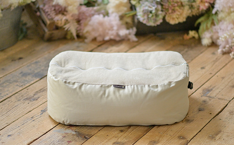 おのののかさんチョイス！おやすみたまご プラス(アイボリー)【限定100個）/赤ちゃん 育児グッズ ママ 授乳 マタニティ ねんね プレゼント ギフト ベッド ベビーチェア ソファ 抱き枕 背中スイッチ 寝返り防止 双子同時授乳 パパ育児 離乳食 授乳クッション