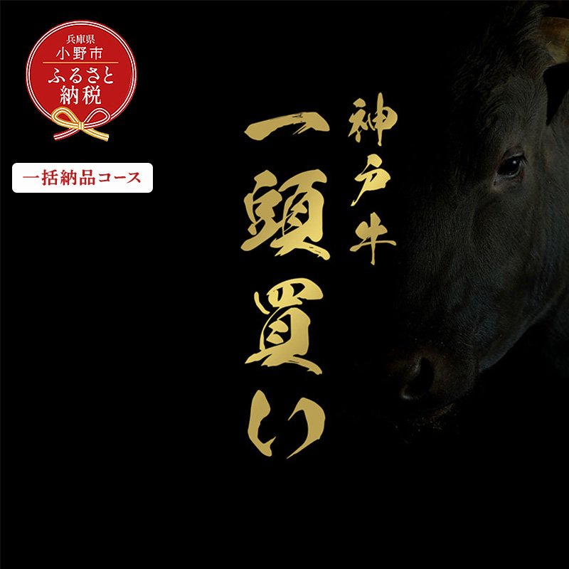 【和牛セレブ】神戸牛一頭分のセレブ体験（一括納品コース）/ 神戸ビーフ BBQ 牛肉 冷凍 ブランド牛 兵庫県 小野市