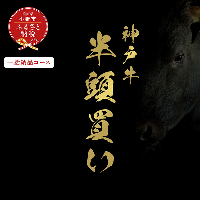 【和牛セレブ】神戸牛半頭分のセレブ体験（一括納品コース）/ 神戸ビーフ BBQ 牛肉 冷凍 ブランド牛 兵庫県 小野市