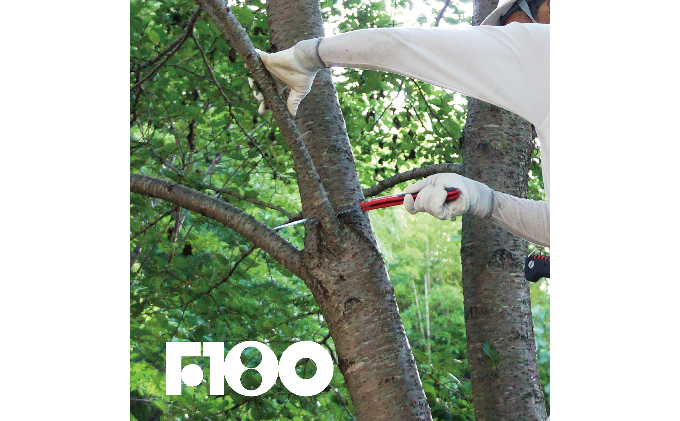 900-52ã軜ããŠæã¡éã³ã»äœæ¥ã®è² æ
ãªã ã·ã«ããŒæèŸŒéžã»ããB é貚 æ¥çšå