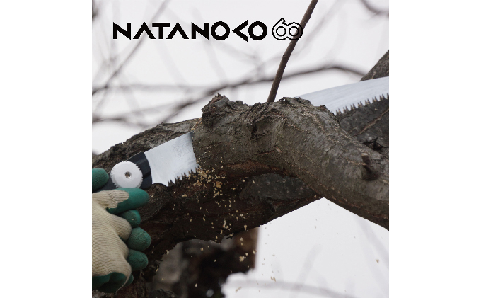 900-76ãå±±æã®å€ªæåªå®ã»ææã¡ã« ã·ã«ããŒéå
¥éžã»ããD é貚 æ¥çšå