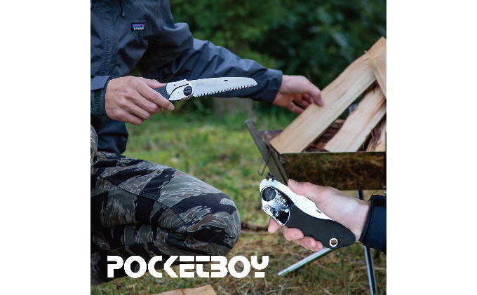 900-78ããŽã æã§æ»ãããæã¡ä»ããŠãçããªãçå ã·ã«ããŒãã¿ãšæèŸŒéžã»ããB é貚 æ¥çšå